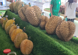 Durian in Bali