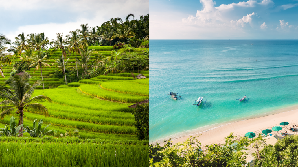 A split view showcasing Bali's iconic terraced rice fields, lush with vibrant green hues, and a tranquil turquoise beach with traditional fishing boats and shaded umbrellas.