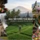 Balinese landscape with rice fields, tropical nature and traditional scenery