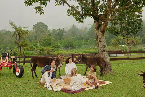 Bali Farm House Bedugul farm experience for kids and families