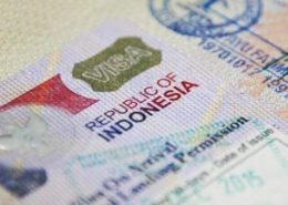 Indonesian Visa On Arrival Online (VOA)