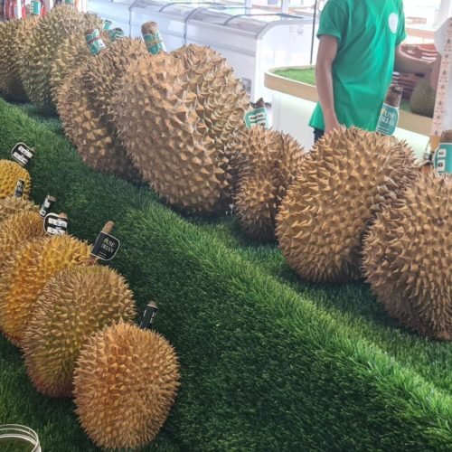 Durian in Bali – The King of Fruits?