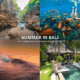 Summer in Bali with tropical beach, sunset view, and private villa with pool in Seminyak